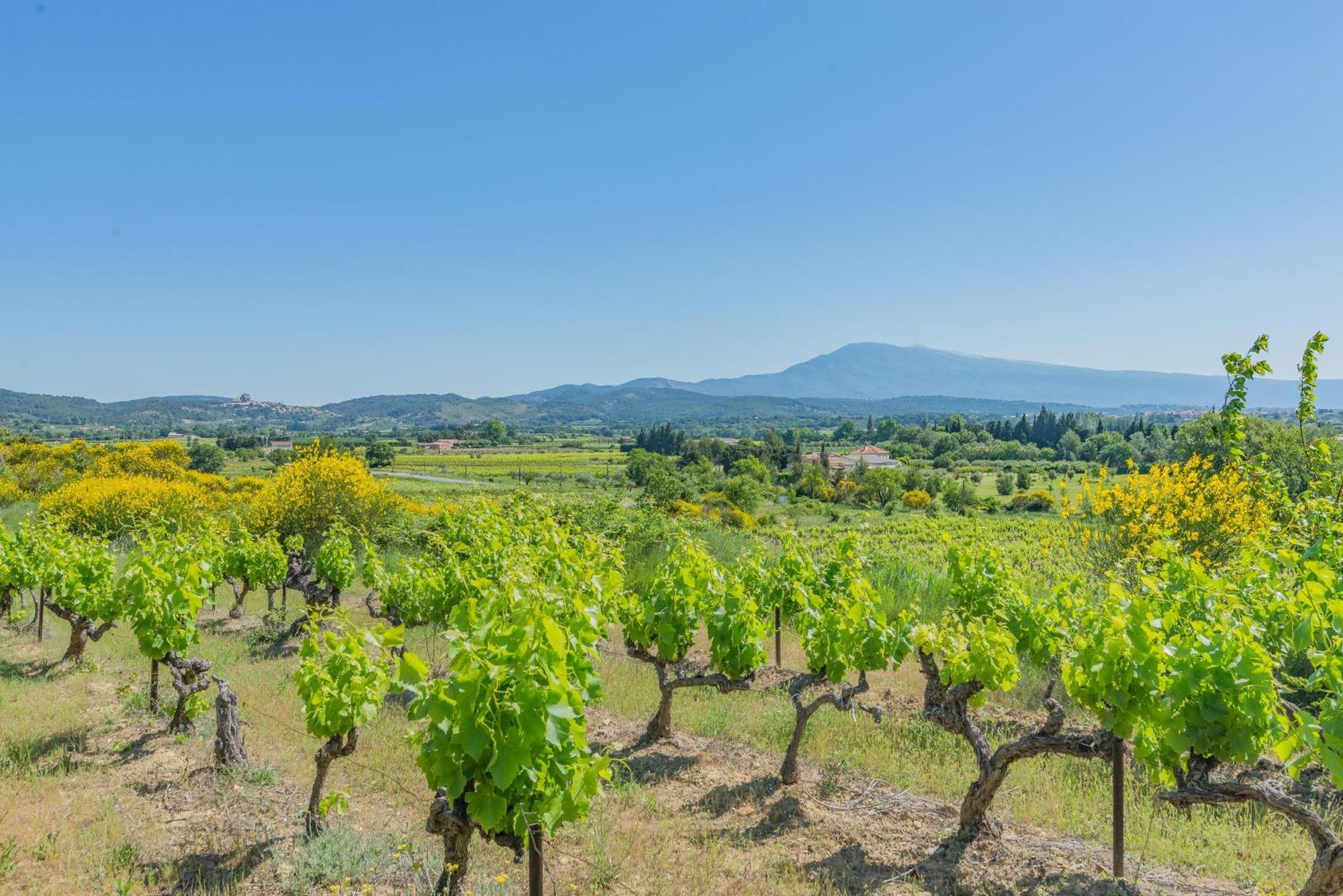 Domaine Purviti Villa Beaumes-de-Venise Ngoại thất bức ảnh